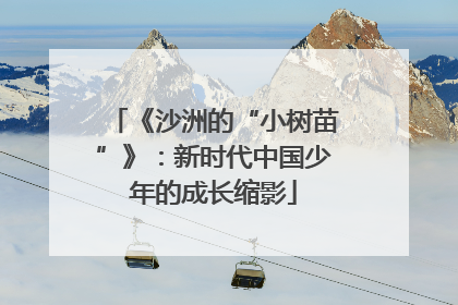 《沙洲的“小树苗”》：新时代中国少年的成长缩影