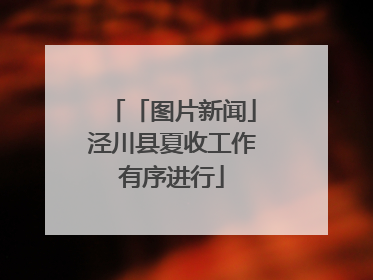 「图片新闻」泾川县夏收工作有序进行