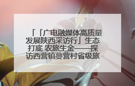 「广电融媒体高质量发展陕西采访行」生态打底 农旅生金——探访西营镇蔓营村省级旅游示范村的振兴密码