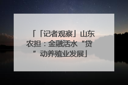 「记者观察」山东农担：金融活水“贷”动养殖业发展