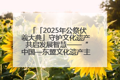 「2025年公祭伏羲大典」守护文化遗产 共启发展智慧——“中国—东盟文化遗产主题对话”侧记