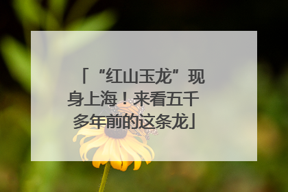 “红山玉龙”现身上海！来看五千多年前的这条龙