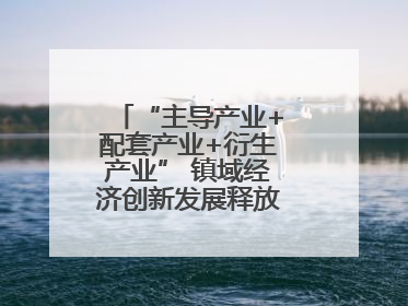 “主导产业+配套产业+衍生产业” 镇域经济创新发展释放强劲发展动能