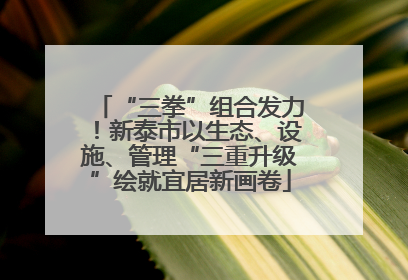 “三拳”组合发力！新泰市以生态、设施、管理“三重升级”绘就宜居新画卷