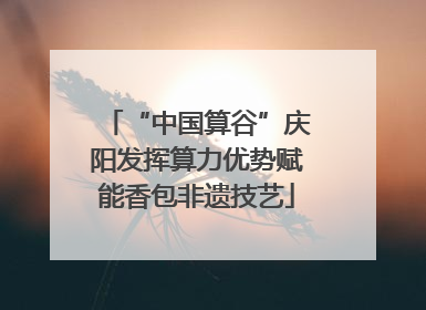 “中国算谷”庆阳发挥算力优势赋能香包非遗技艺