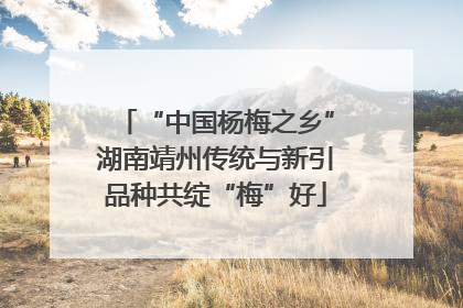 “中国杨梅之乡”湖南靖州传统与新引品种共绽“梅”好