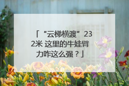 “云梯横渡”232米 这里的牛娃臂力咋这么强？