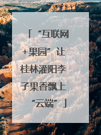 “互联网+果园”让桂林灌阳李子果香飘上“云端”