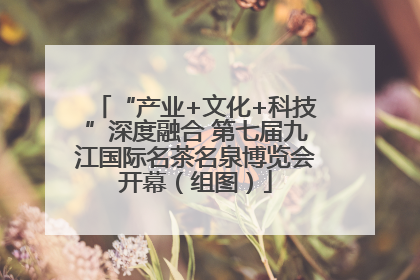 “产业+文化+科技”深度融合 第七届九江国际名茶名泉博览会开幕（组图）