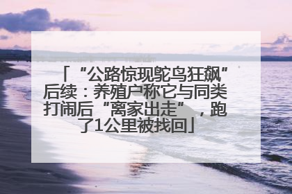 “公路惊现鸵鸟狂飙”后续：养殖户称它与同类打闹后“离家出走”，跑了1公里被找回