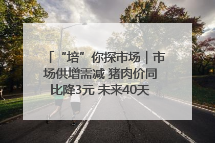 “培”你探市场｜市场供增需减 猪肉价同比降3元 未来40天便宜猪肉敞开吃