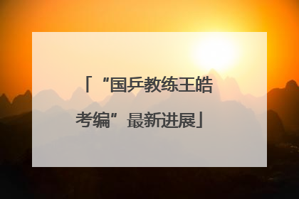 “国乒教练王皓考编”最新进展