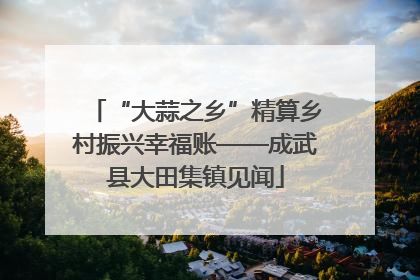 “大蒜之乡”精算乡村振兴幸福账——成武县大田集镇见闻