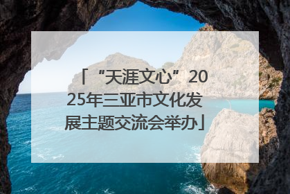 “天涯文心”2025年三亚市文化发展主题交流会举办