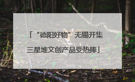 “德阳好物”无锡开集 三星堆文创产品受热捧