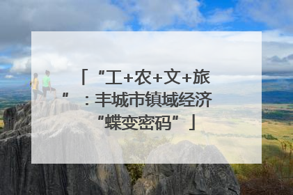 “工+农+文+旅”：丰城市镇域经济“蝶变密码”