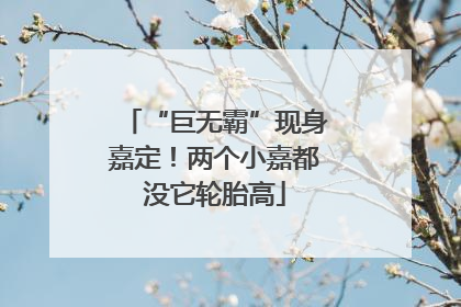 “巨无霸”现身嘉定！两个小嘉都没它轮胎高