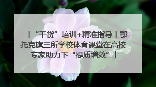 “干货”培训+精准指导丨鄂托克旗三所学校体育课堂在高校专家助力下“提质增效”