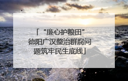 “廉心护粮田” 德阳广汉整治群腐问题筑牢民生底线