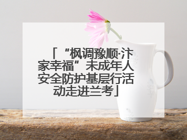 “枫调豫顺·汴家幸福”未成年人安全防护基层行活动走进兰考