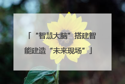 “智慧大脑”搭建智能建造“未来现场”