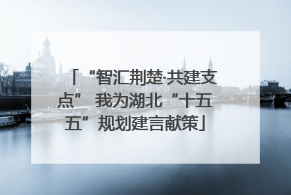 “智汇荆楚·共建支点” 我为湖北“十五五”规划建言献策