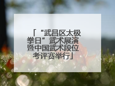 “武昌区太极拳日”武术展演暨中国武术段位考评赛举行