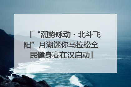 “潮势咏动・北斗飞阳”月湖迷你马拉松全民健身赛在汉启动