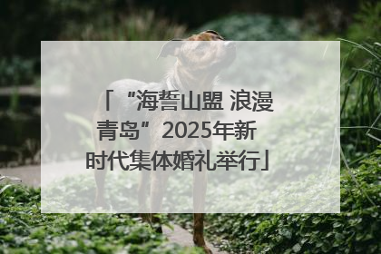 “海誓山盟 浪漫青岛”2025年新时代集体婚礼举行