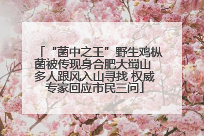 “菌中之王”野生鸡枞菌被传现身合肥大蜀山 多人跟风入山寻找 权威专家回应市民三问