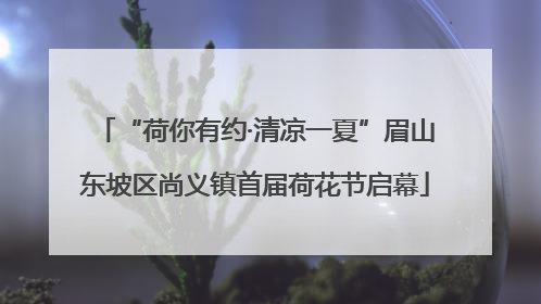 “荷你有约·清凉一夏”眉山东坡区尚义镇首届荷花节启幕
