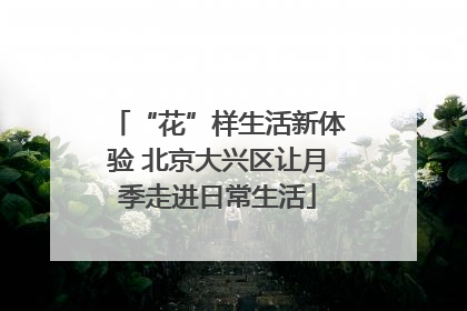 “花”样生活新体验 北京大兴区让月季走进日常生活