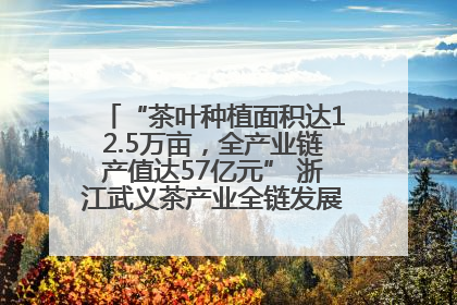 “茶叶种植面积达12.5万亩，全产业链产值达57亿元” 浙江武义茶产业全链发展“加速度”