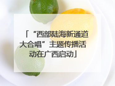 “西部陆海新通道大合唱”主题传播活动在广西启动