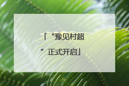 “豫见村超”正式开启
