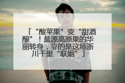“酸苹果”变“甜酒酿”！盐源高原果的华丽转身，靠的是这场浙川千里“联姻”