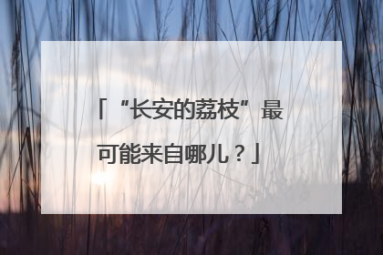 “长安的荔枝”最可能来自哪儿？