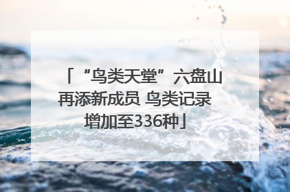 “鸟类天堂”六盘山再添新成员 鸟类记录增加至336种