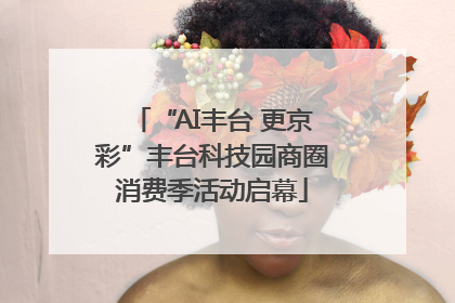 “AI丰台 更京彩”丰台科技园商圈消费季活动启幕