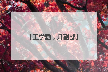 王学勤，升副部