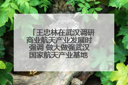 王忠林在武汉调研商业航天产业发展时强调 做大做强武汉国家航天产业基地 打造具有全国影响力的“中国星谷”