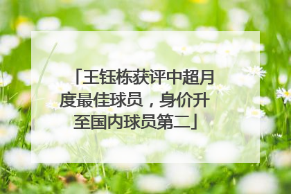 王钰栋获评中超月度最佳球员，身价升至国内球员第二
