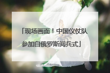 现场画面！中国仪仗队参加白俄罗斯阅兵式