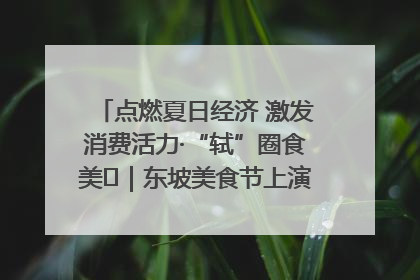 点燃夏日经济 激发消费活力·“轼”圈食美⑪｜东坡美食节上演“文化满汉全席”