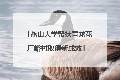 燕山大学帮扶青龙花厂峪村取得新成效