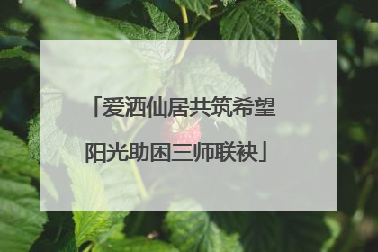 爱洒仙居共筑希望 阳光助困三师联袂