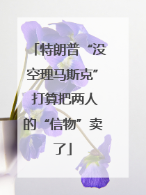 特朗普“没空理马斯克” 打算把两人的“信物”卖了