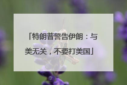 特朗普警告伊朗：与美无关，不要打美国