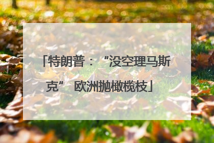 特朗普：“没空理马斯克” 欧洲抛橄榄枝