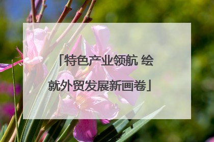 特色产业领航 绘就外贸发展新画卷